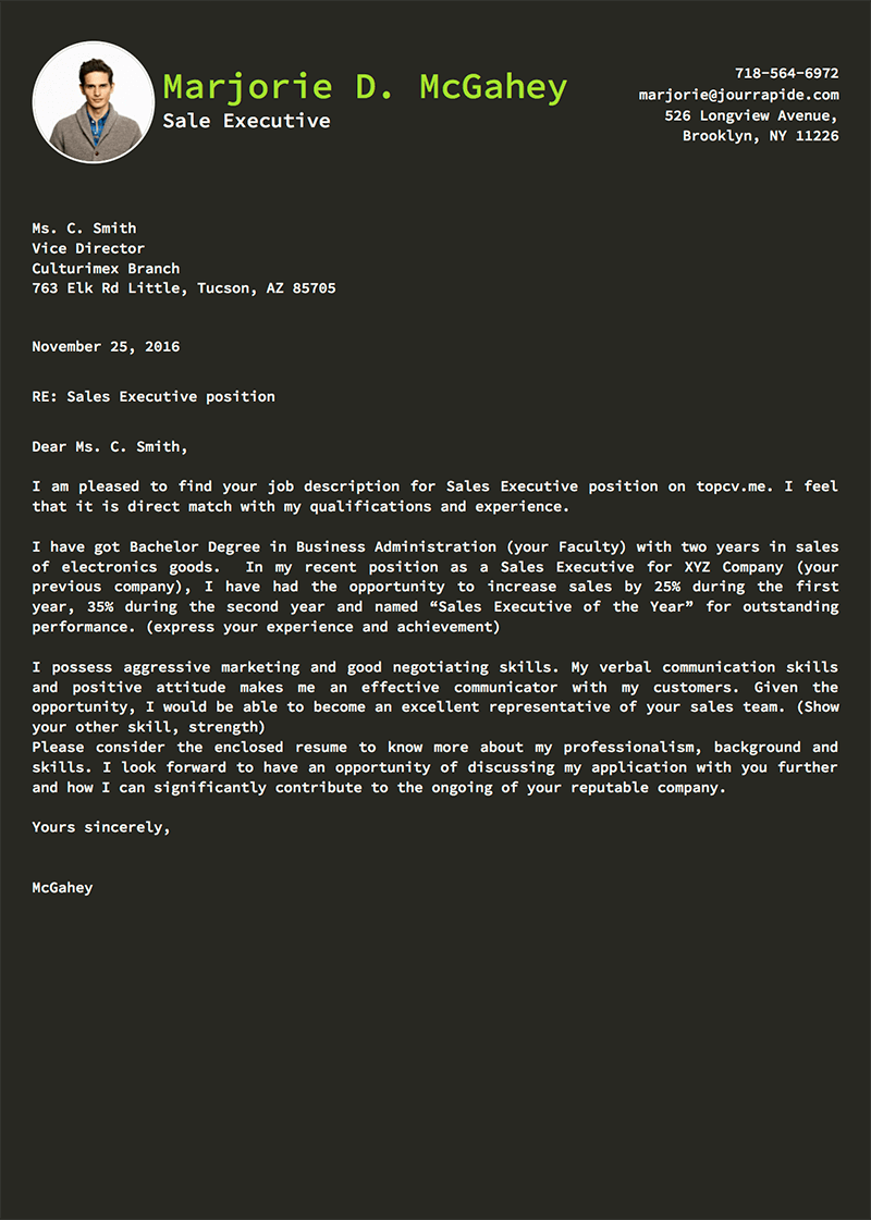 template-cv-Developer