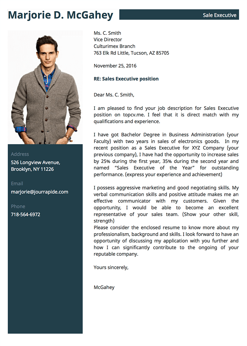 template-cv-Pro 1