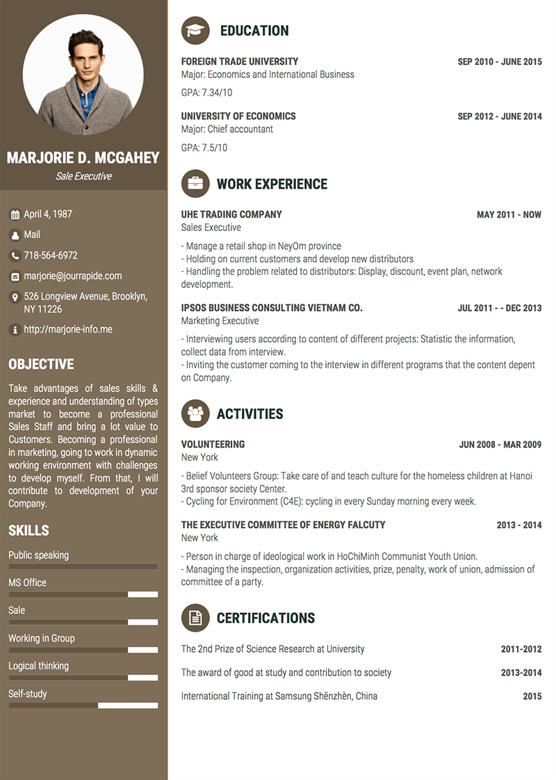 Sample CV Design Director