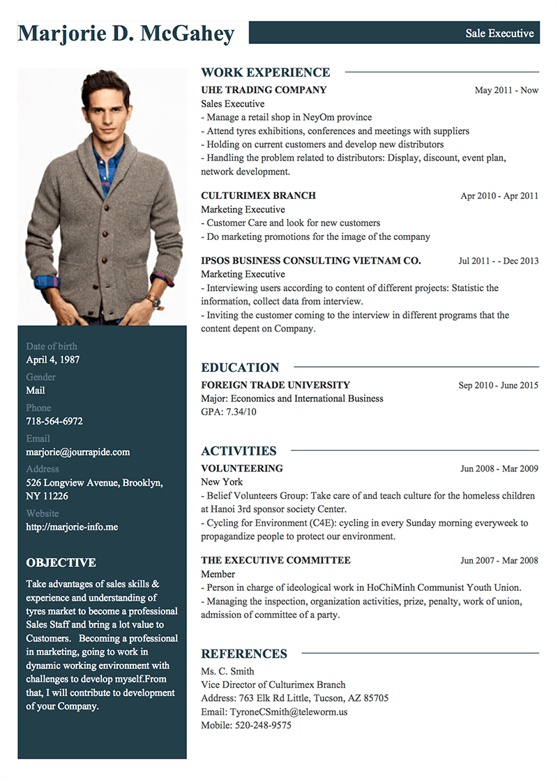 template-cv-Pro 1