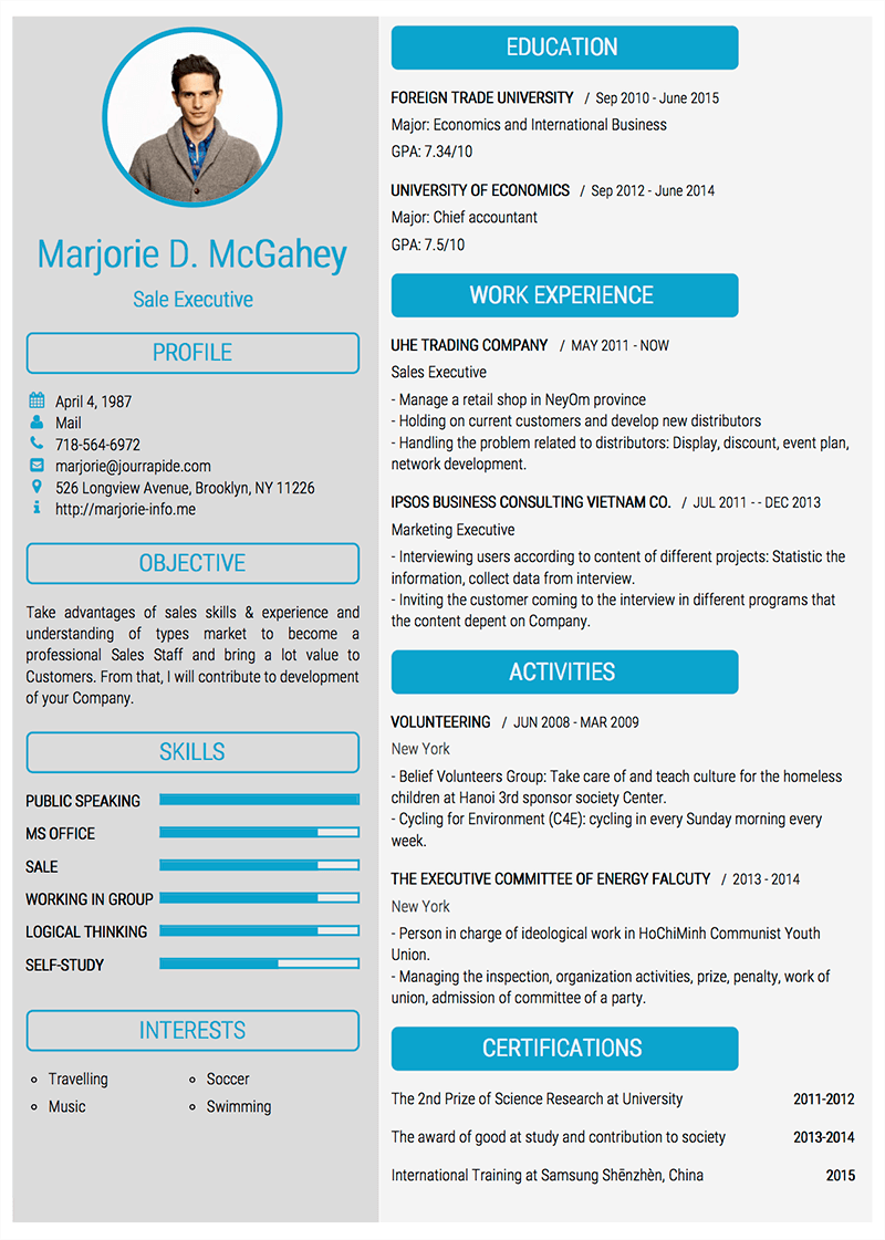 template-cv-Pro 4